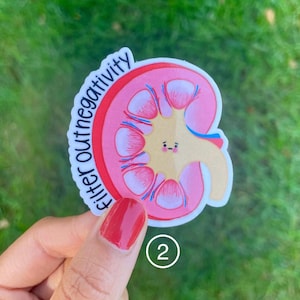 May include: A pink and white sticker with a cartoon kidney and the text "filter out negativity".