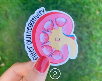 Kidney Sticker, Nephrology Doctor Gift, ICU nurse, Dialysis, Medical Student, Medicine, Pre-med, Biology, Anatomy, Science Laptop Phone