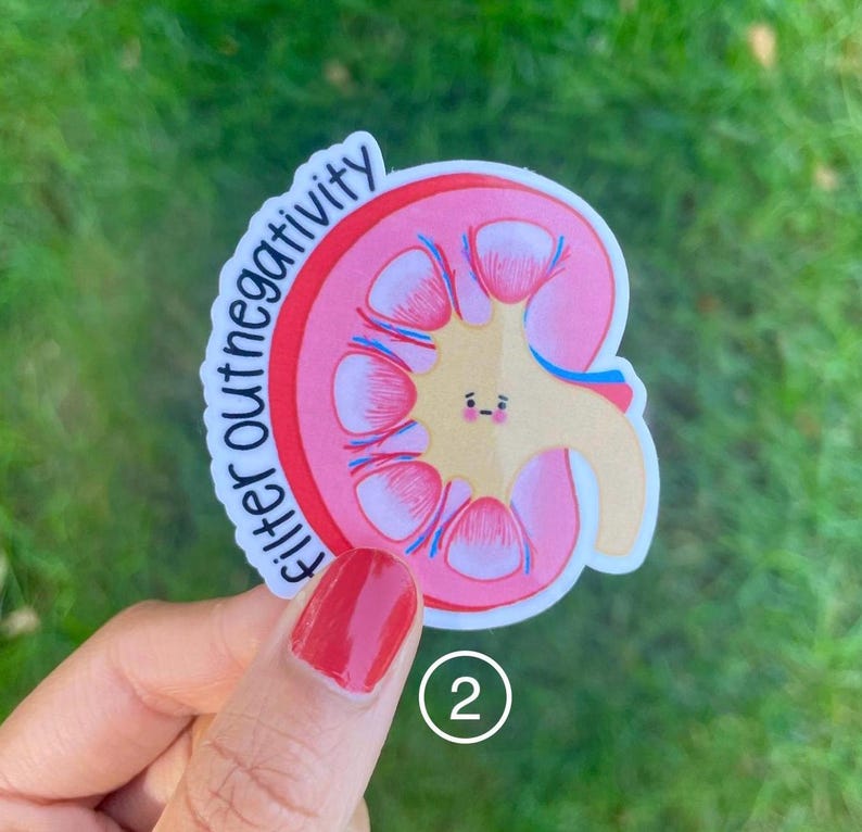 May include: A pink and white sticker with a cartoon kidney and the text "filter out negativity".