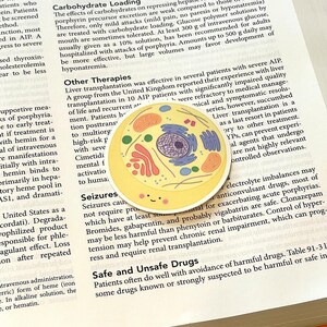 May include: A yellow and orange cell illustration with a smiling face. The cell is on a page of a book with text about porphyria, a rare genetic disorder. The text discusses treatment options, including liver transplantation, and safe and unsafe drugs for patients with porphyria.