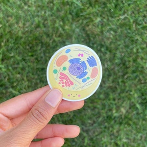 May include: A yellow circle sticker with a cartoon illustration of a cell. The cell has a nucleus, endoplasmic reticulum, Golgi apparatus, ribosomes, and mitochondria. The cell has a smiling face.