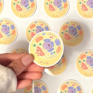 May include: A set of yellow circle stickers with a cartoon illustration of a cell with a nucleus, cytoplasm, and other organelles. The cell has a smiling face.