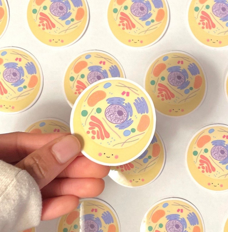 May include: A set of yellow circle stickers with a cartoon illustration of a cell with a nucleus, cytoplasm, and other organelles. The cell has a smiling face.