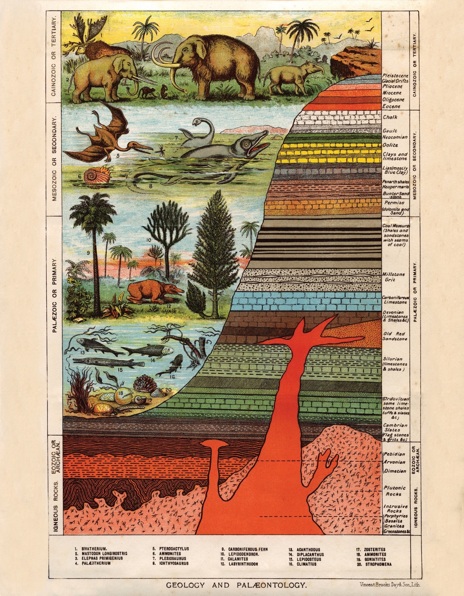 Geology and Palaentology Antique Reproduction