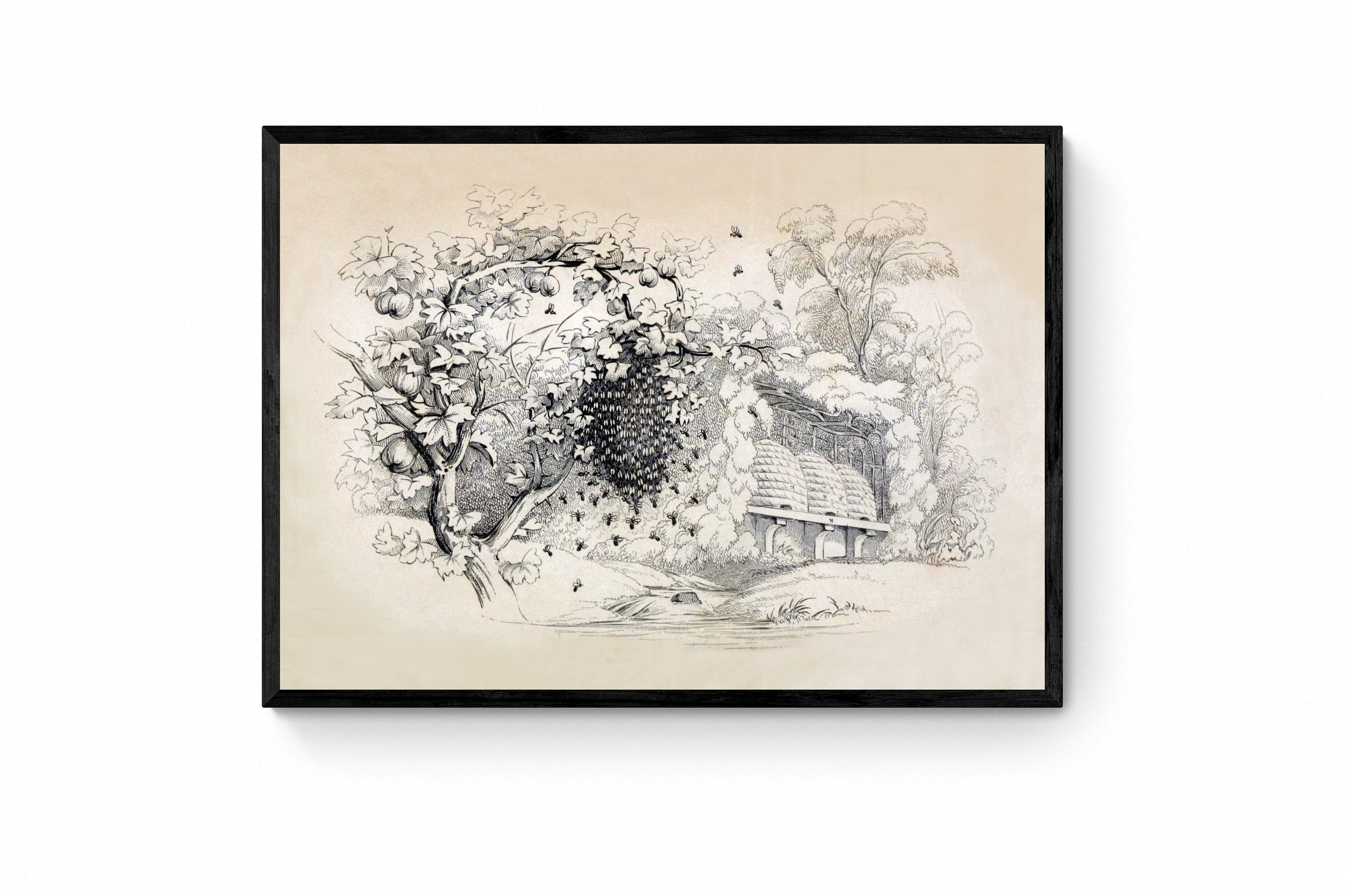 Swarming Bees Print - Antique Reproduction - Honey Bee - Apiary - Beekeeper Gift - Honey Comb - Vintage Wall Art - Available Framed