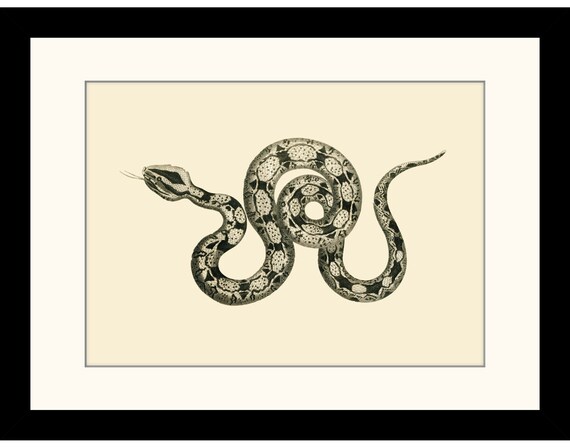 RIDE✨LTD SNAKE/SERPENT バインディング
