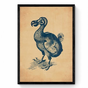 Dodo Framed Tile