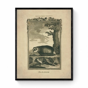 5 Piezas, Accesorios Para El Hogar Y El Jardín, Para