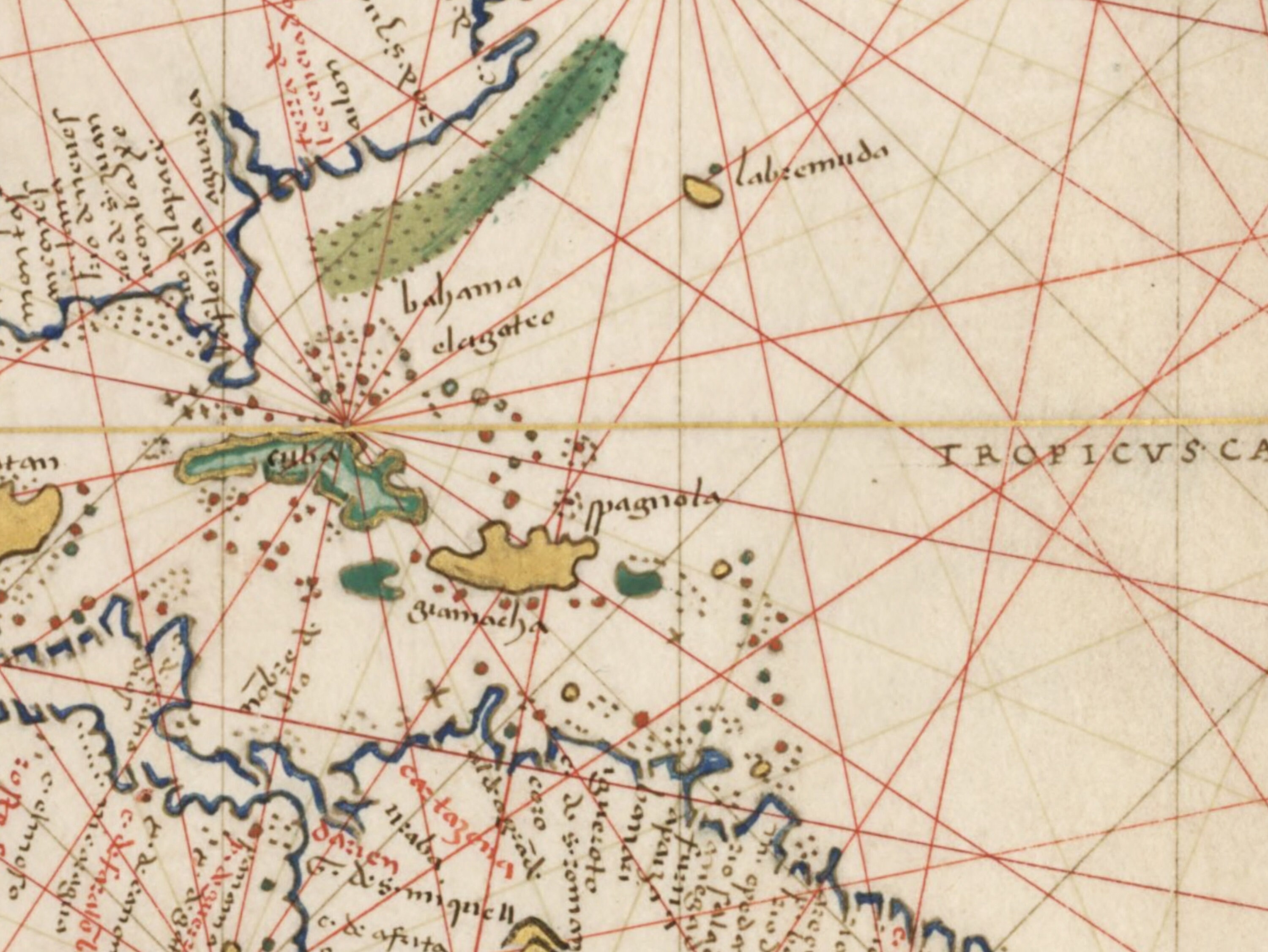 大西洋ポルトラン海図 1544年 - アンティーク複製 - 航海図 - 額入り