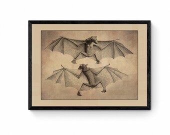 Bats Print - Antique Reproduction - Wall Art - Wildlife Wall Decor - Natural History - Available Framed