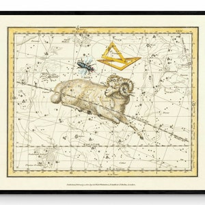 Widder, Triangula und Musseka Konstellationen Antik Reproduktion - Alexander Jamieson - datiert 1822 - Sternzeichen - Astronomie - Verfügbar mit Rahmen