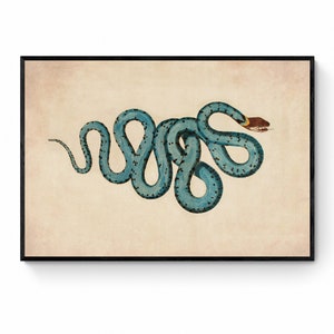 Könnte beinhalten: Eine Vintage-Illustration einer blauen Schlange mit schwarzen Flecken, die sich auf einem beigefarbenen Hintergrund zusammenrollt.