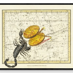 Skorpion & Waage Konstellationen Antike Reproduktion - Alexander Jamieson - datiert 1822 - Sternzeichen - Sternzeichen - Astronomie - Erhältlich gerahmt