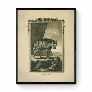 May include: A vintage illustration of a striped hyena standing on a rock, framed in black. The image is set against a beige background with a decorative border. The text "The HYENA" is printed below the image.