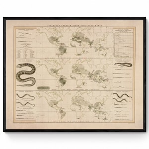 Snakes of the World Map dated c.1845  - Antique Reproduction - Herpetology - Available Framed