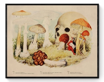 Poisonous Mushrooms Print - Antique Reproduction - Fungi - Toadstool - Available Framed