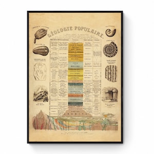 地質学と古生物学のポスター - アンティークアート複製 - フランスのポスター - 化石 - 地質時代 - 地質学者 - 額入りあり