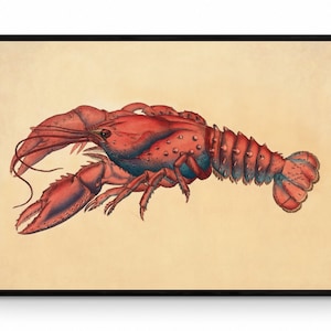 Serrated Lobster (Cancer Serratus) Print - Antique Reproduction - James Sowerby - Sealife - Marine Wildlife - Available Framed