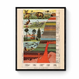 Impresión de Geología y Palentología - Reproducción antigua - Diagrama de la corteza terrestre - Dinosaurio - Fósil - Decoración de pared retro - Disponible enmarcado