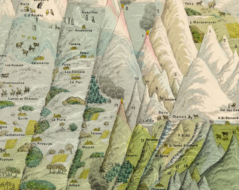 May include: Detailed vintage illustration of a mountain range, featuring peaks, valleys, and various geographical elements. The image includes labels such as "Ours", "Chamois", and "La Paz", with illustrations of animals and vegetation. The color palette is a mix of earth tones.