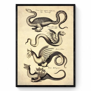1650 年製ドラゴンの版画 - アンティーク複製品 - 神話上の生き物 - ヴィンテージ アート - 額入り