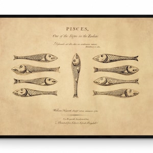 Pisces - Hogarth&#39;s Quadrille Fish - Antique Art Reproduction - William Hogarth - Star Sign - Zodiac - Astronomy - Celestial Art - Wall Decor