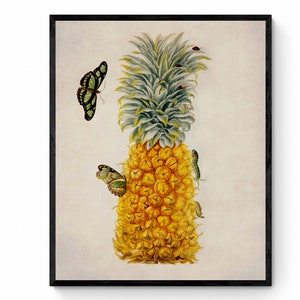 Pineapple and Insects Print - Antique Reproduction - Butterfly - Caterpillar - Botanical Decor - Available Framed