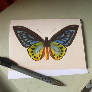 Cartão de felicitações Butterfly Antique A6 - Reprodução antiga - FRETE GRÁTIS