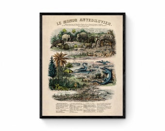 The Antediluvian World - Antique Reproduction - Palaentology - Fossil - Geology - Britain - Available Framed