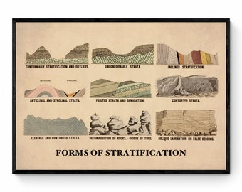 Può includere: Un grafico educativo vintage che illustra diverse forme di stratificazione in geologia. Il grafico presenta vari diagrammi che rappresentano formazioni geologiche come strati conformi, discordanti, inclinati, anticlinali, sinclinali, fagliati, contorti e a laminazione obliqua.