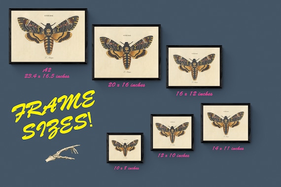 大西洋ポルトラン海図 1544年 - アンティーク複製 - 航海図 - 額入り