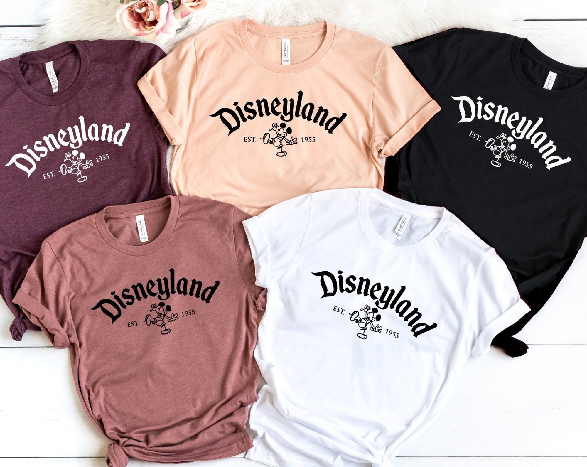 Discover Disneyland Disney Trip T-Shirt