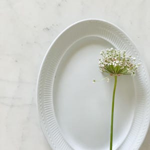Vintage Ironstone Platter