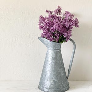 Vintage French Zinc Pitcher