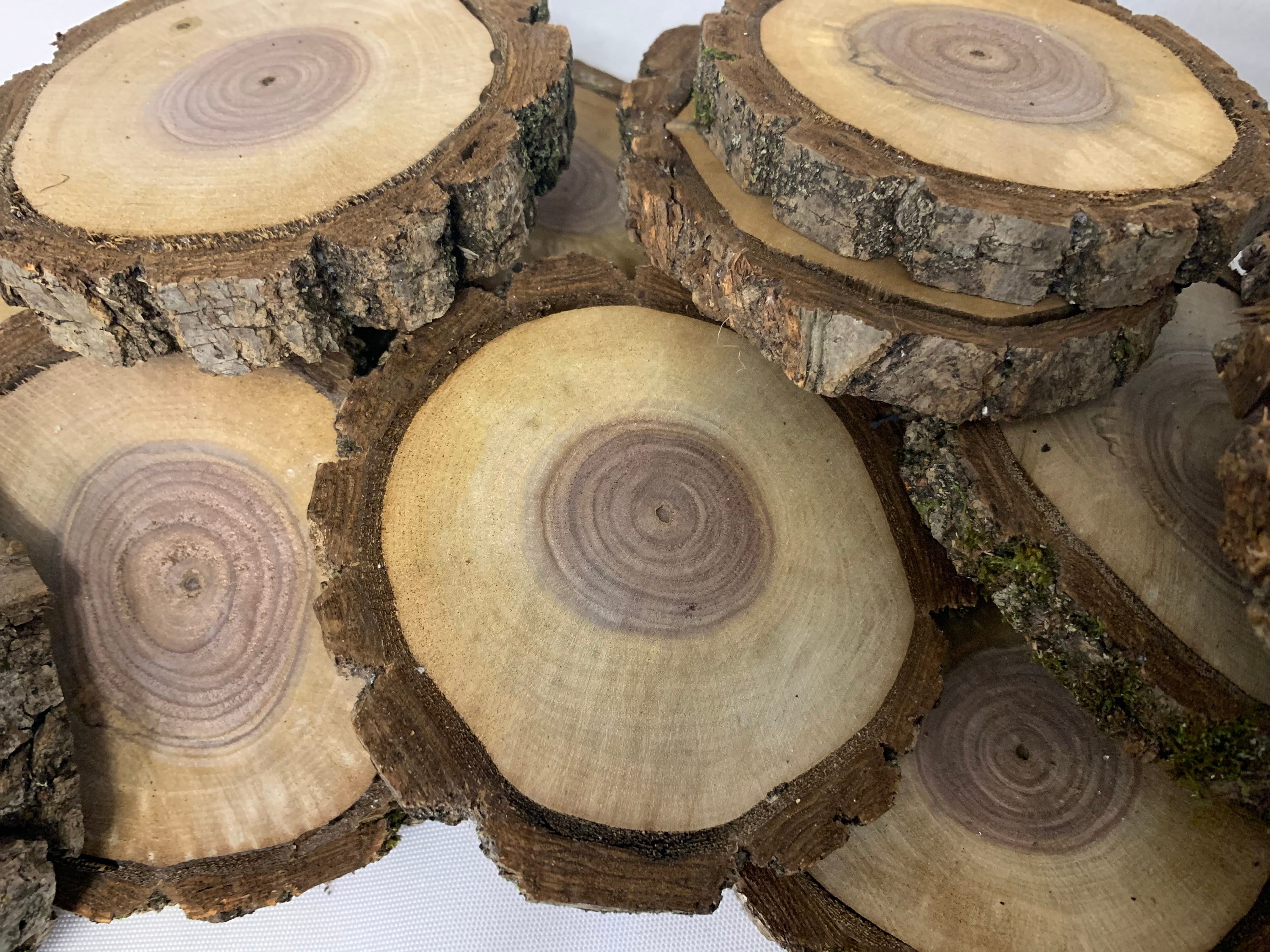 9 Fresh Cut Wood Slices, Natural Poplar Wood, Wood Slab, Wood Round, Wood  DIY Crafts, Rustic Wedding Decor 