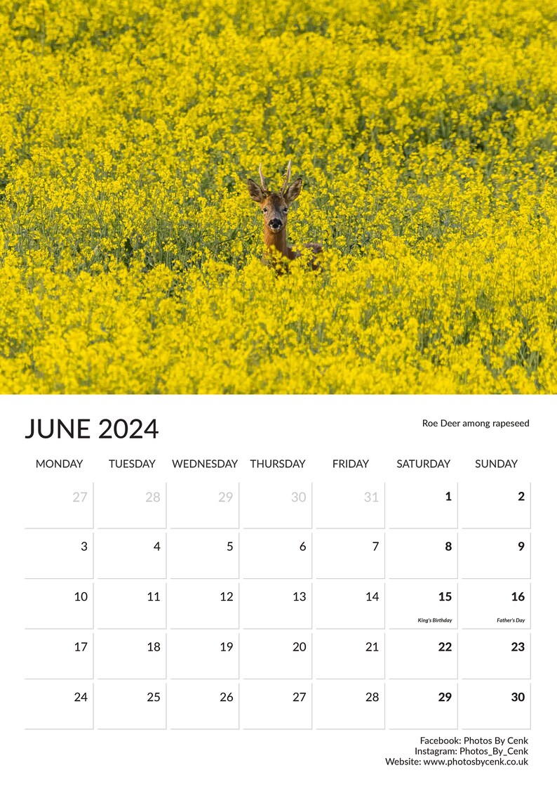 Dorset Calendar 2024 early Edition Etsy UK