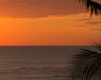 Photo Print, Home Decor, Wall Art, Palm Tree Silhouette, Costa Rica, Sunset, Travel, Canvas Print, Landscape Photography, 8x10, 11x14, 16x20