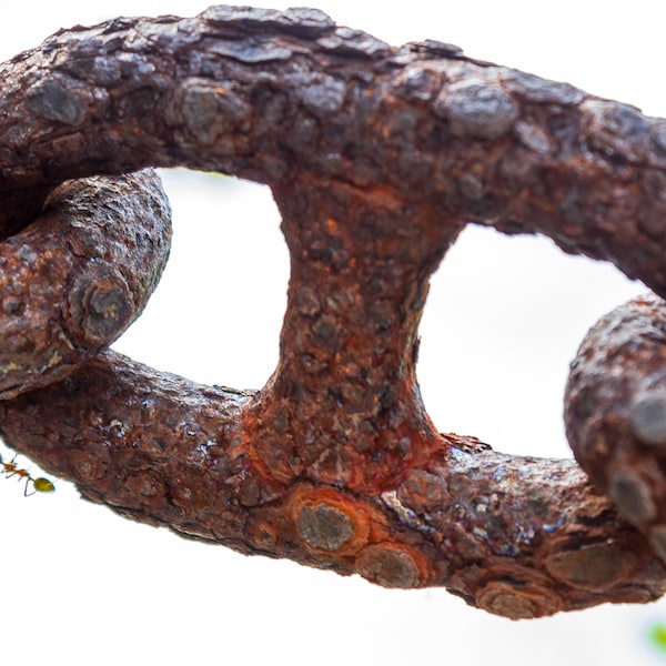 Photo Print, Home Decor, Wall Art, Rusty Chain, Rusted Metal, Rustic, Weathered, Canvas Print, Landscape Photography, 8x10, 11x14, 16x20