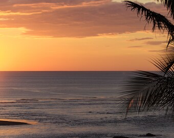 Costa Rica Sunset Print – Ojochal Pacific Coast Photography, Palm Frond Wall Art