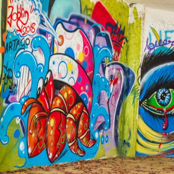 The Eye, Costa Rica, Photo Print, Home Decor, Wall Art, Graffiti Art, Travel, Canvas Print, Landscape Photography, 8x10, 11x14, 16x20