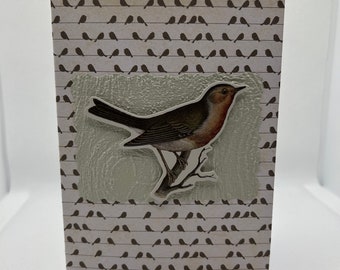 Any occasion bird card.