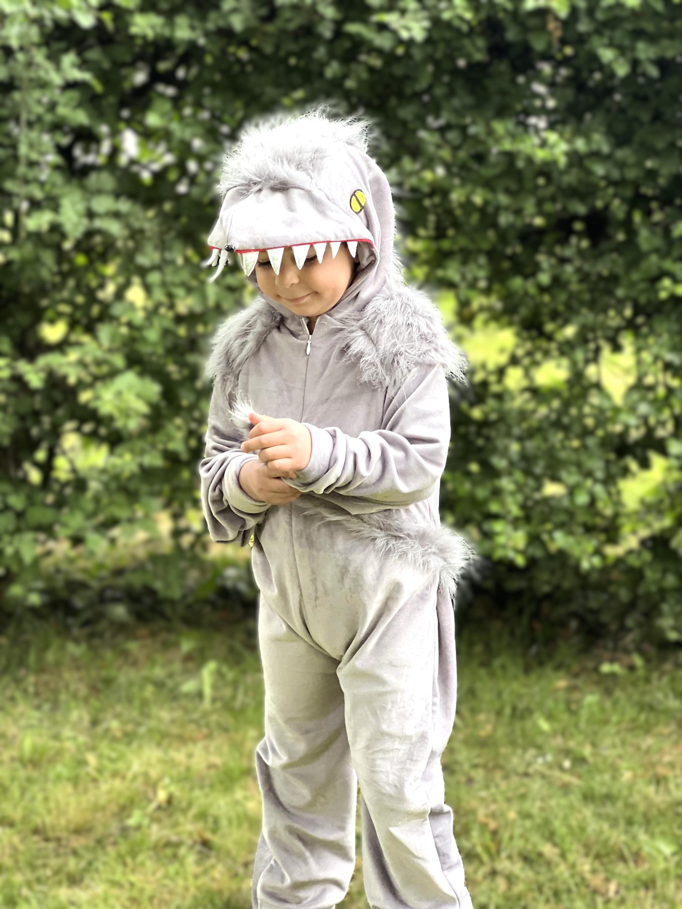 Déguisement de Petit Chaperon Rouge, tenue rouge et cape pour enfant - Canada Déguisement de Petit Chaperon Rouge, tenue rouge et cape pour enfant - Canada
