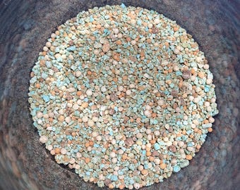 House Plant Fertilizer 21-6-8 | Moderate Nitrogen Blend with Micronutrients for Structure and Sustained Growth