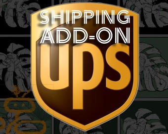 UPS Shipping Upgrade (add-on) . Not eligible for discounts or sales