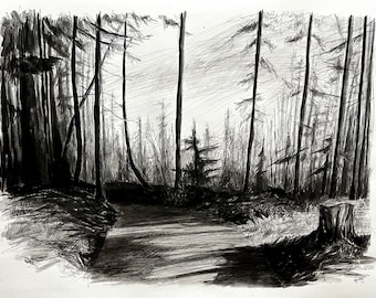 Shade without the forest. Original ink and pencil landscape drawing 18x24"