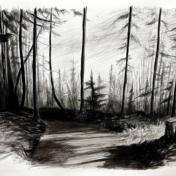 Shade without the forest. Original ink and pencil landscape drawing 18x24"