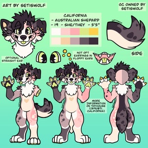 May include: Digital illustration of a cartoon Australian Shepherd dog character. The dog is pink, white, and grey with green eyes. The character is shown in three poses: a head shot, a full body shot with arms raised, and a full body shot with arms at the side. The character is labelled "California" and has the text "Australian Shepherd - 19 - She/They - 5'5" written below. The image also includes text that says "Art by Setiswolf" and "OC owned by Setiswolf".