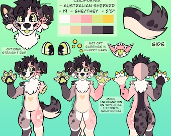 May include: Digital illustration of a cartoon Australian Shepherd dog character. The dog is pink, white, and gray with green eyes. The character is shown in three poses: a head shot, a full body shot with arms raised, and a full body shot with arms at the side. The character is labeled "California" and has the text "Australian Shepherd - 19 - She/They - 5'5" written below. The image also includes text that says "Art by Setiswolf" and "OC owned by Setiswolf".