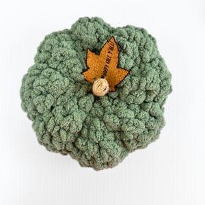 May include: A green crocheted pumpkin with a brown felt leaf that says "Happy Fall Y'all".