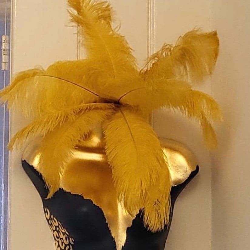 Gold Ostrich Feathers, 10 Pieces 18-24 Antique Gold Large Prime Grade  Ostrich Wing Plume Centerpiece Feathers : 5056 